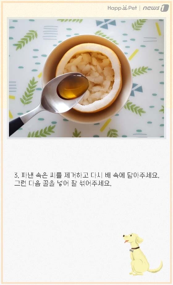 본문 이미지 - ⓒ News1
