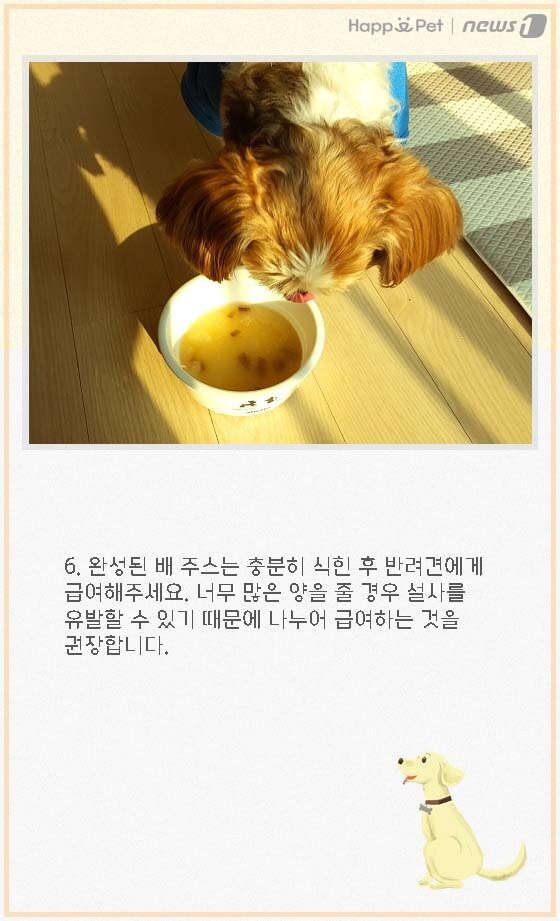 본문 이미지 - ⓒ News1