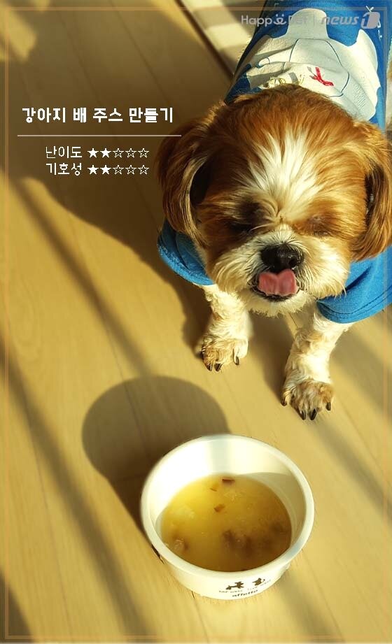 본문 이미지 - ⓒ News1