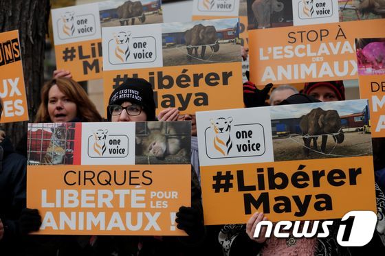 야생동물의 서커스 출연 금지를 요구하며 시위하는 동물보호단체 회원들. © AFP=뉴스1