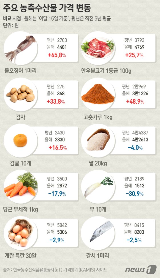 본문 이미지 - ⓒ News1 이은주 디자이너