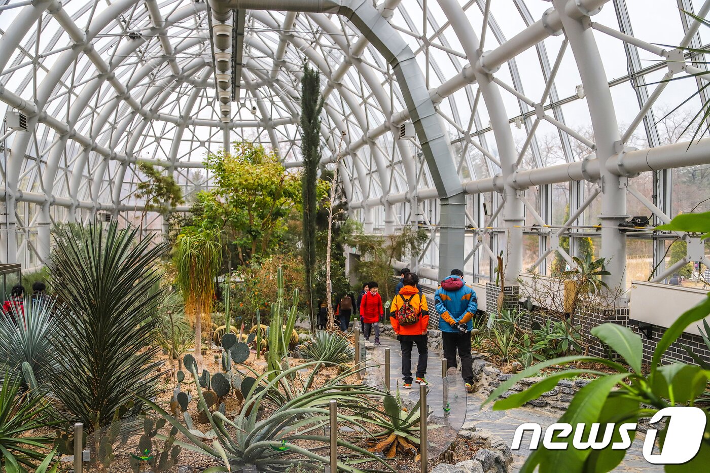 본문 이미지 - 포천 국립수목원(경기관광공사 제공) ⓒ News1 진현권 기자