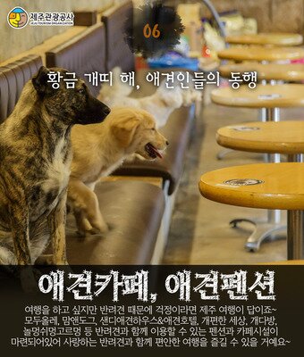 본문 이미지 - ⓒ News1