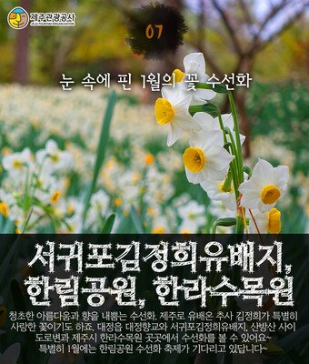 본문 이미지 - ⓒ News1