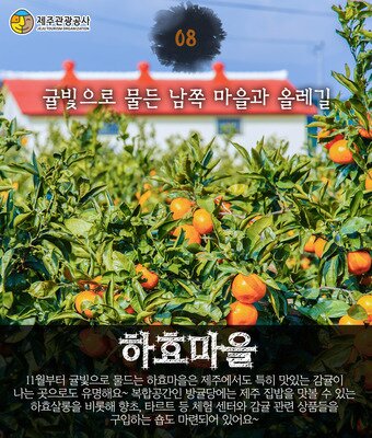 본문 이미지 - ⓒ News1