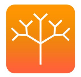 본문 이미지 - bbb 스마트폰 통역 앱ⓒ News1