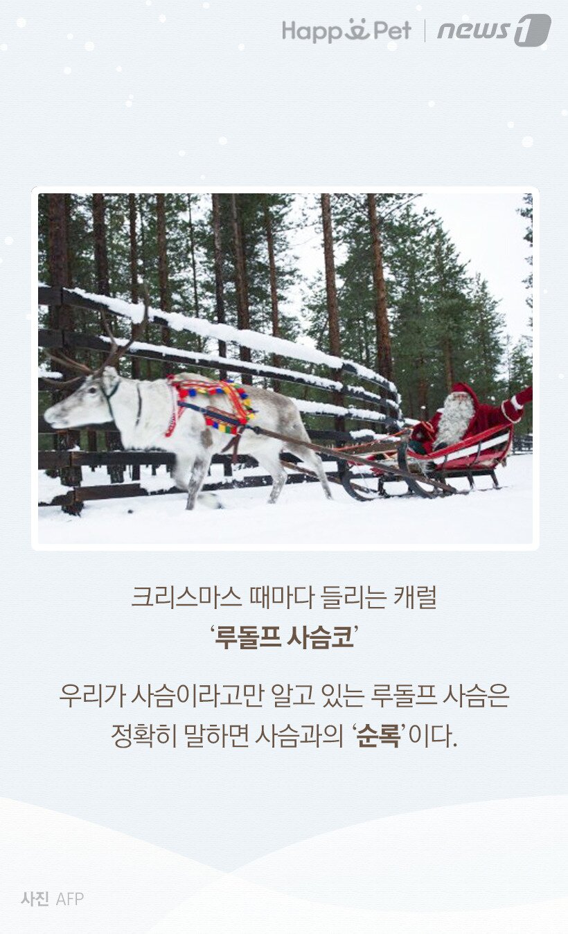 본문 이미지 -  사진=AFP