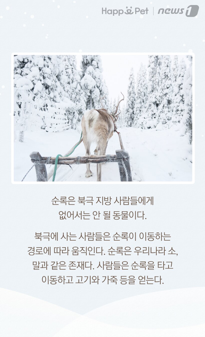 본문 이미지 -  