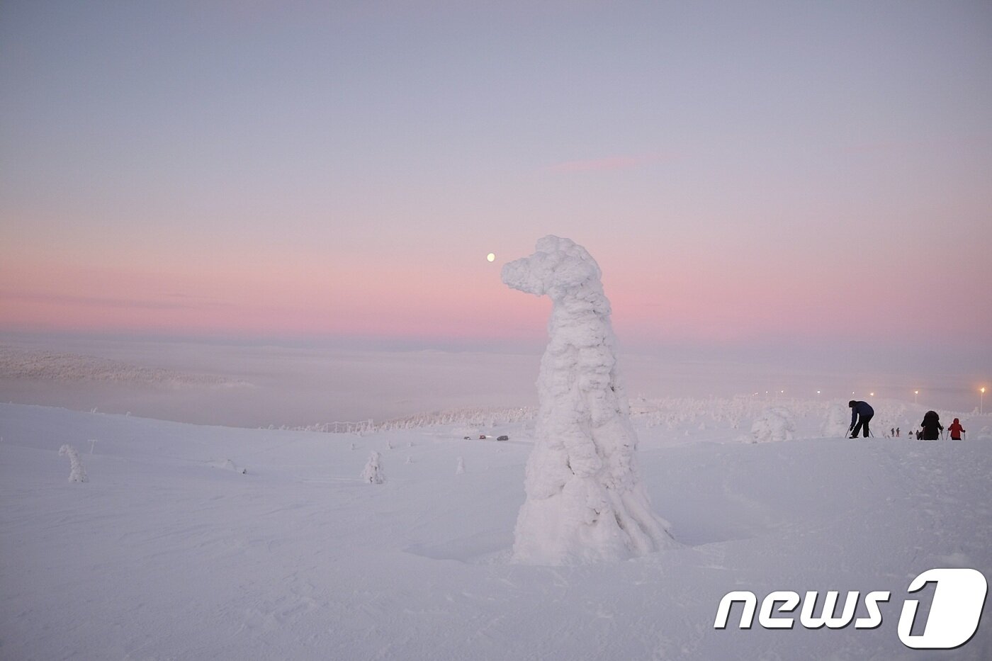 본문 이미지 - 마치 공룡을 형상화 한 듯한 스노우몬스터ⓒ News1 윤슬빈 기자