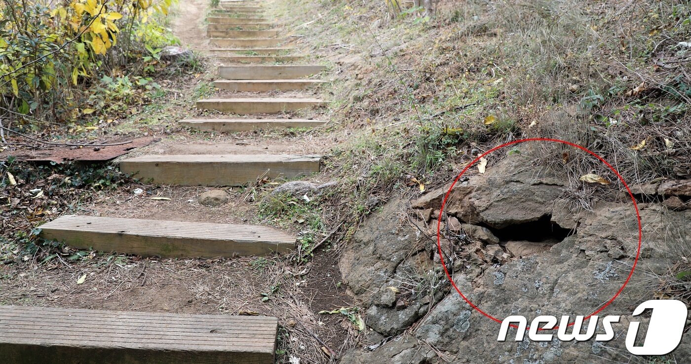 [르포] 무관심 속 망가지는 '지질학 교과서' 제주 당산봉 오름 - 뉴스1