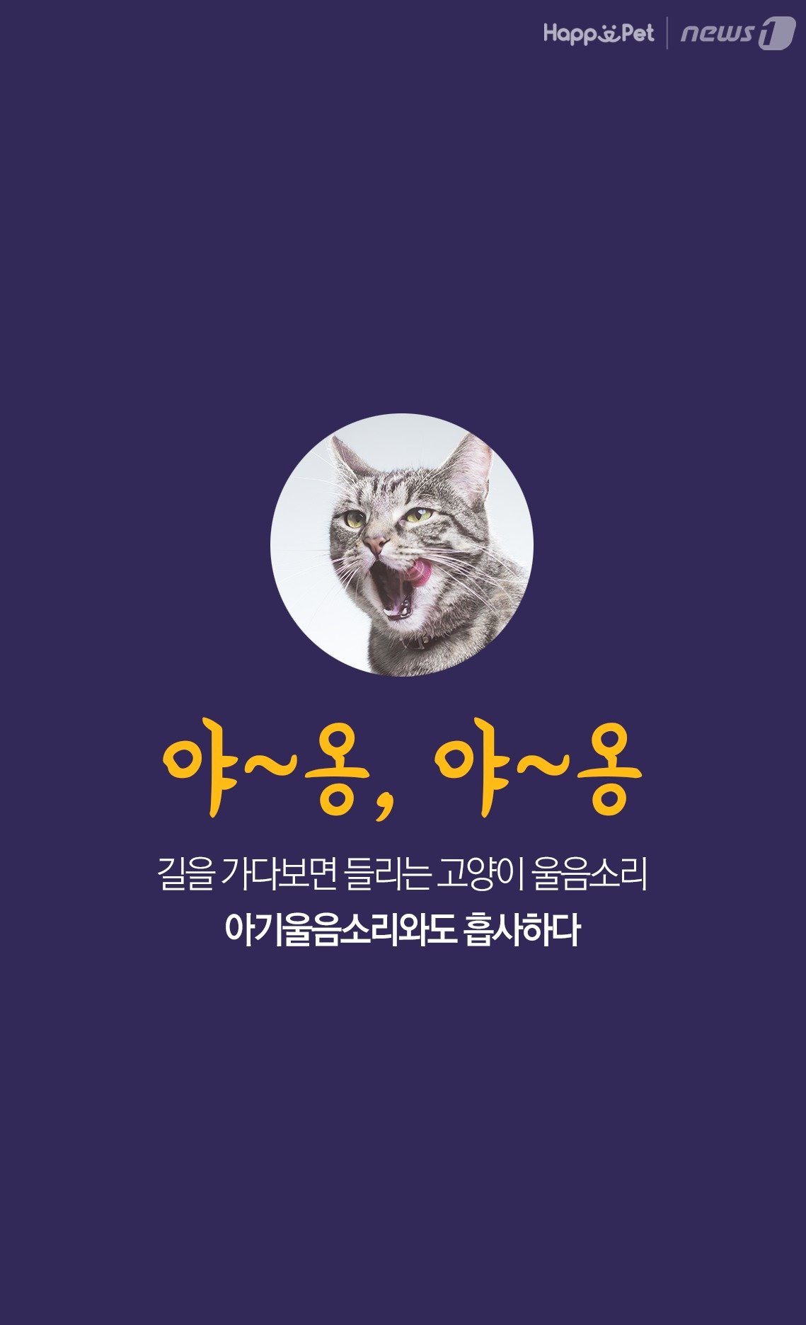 본문 이미지 -  