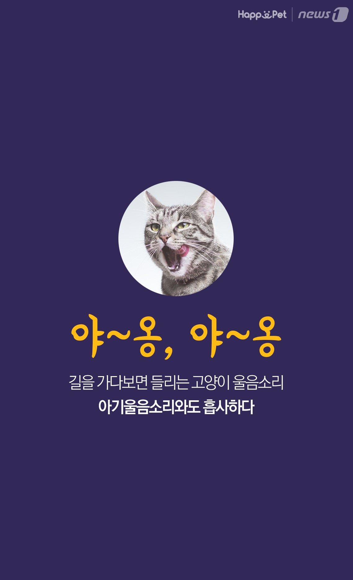 펫카드] 고양이는 왜 아기울음소리를 낼까