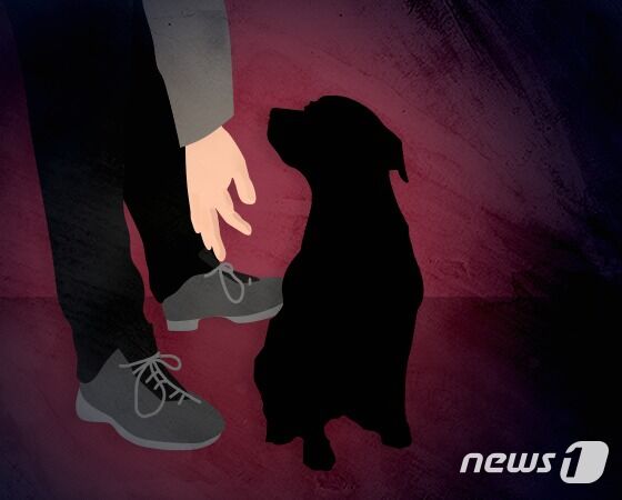 견주 집 비운 사이 오피스텔 12층서 웰시코기 추락사