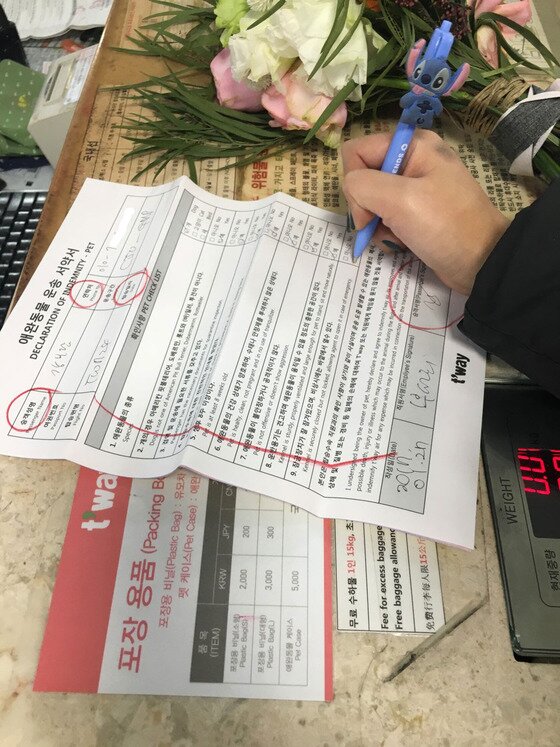 본문 이미지 -  