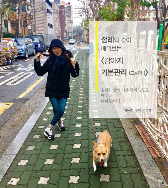 본문 이미지 -  