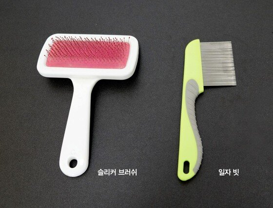 본문 이미지 -  