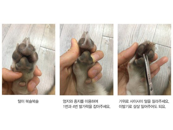 본문 이미지 -  