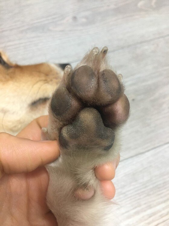 본문 이미지 -  