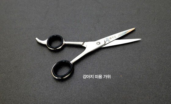 본문 이미지 -  