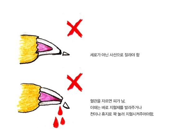 본문 이미지 -  