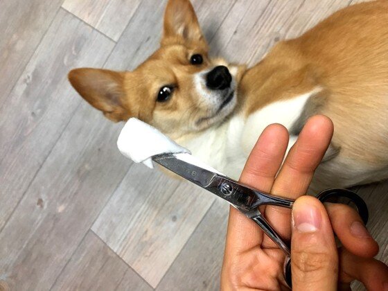 본문 이미지 -  