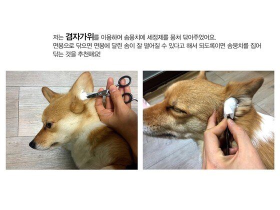 본문 이미지 -  