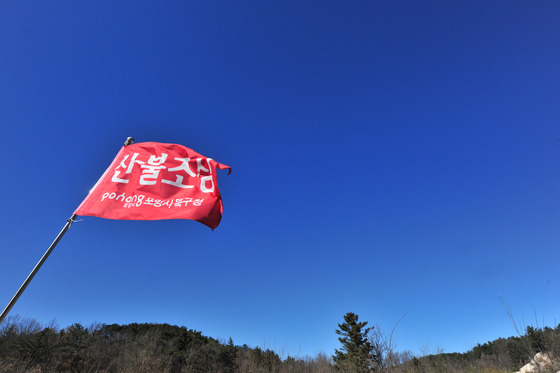 강원 영동·산간 건조특보 속 강풍주의보까지…"산불 주의"