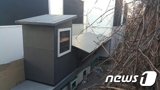 본문 이미지 - 4년 전 구청 직원들이 판자로 만든 길고양이 집. 지금은 옥상 한 편에 놓여 있다. ⓒ News1
