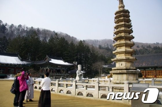 본문 이미지 - ⓒ News1 박하림 기자