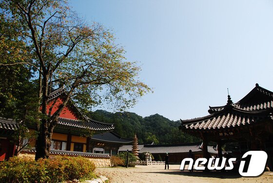 본문 이미지 - 오대산 월정사(한국관광공사 제공) ⓒ News1