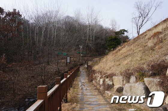 본문 이미지 - 울산 남구 솔마루길 ⓒ News1