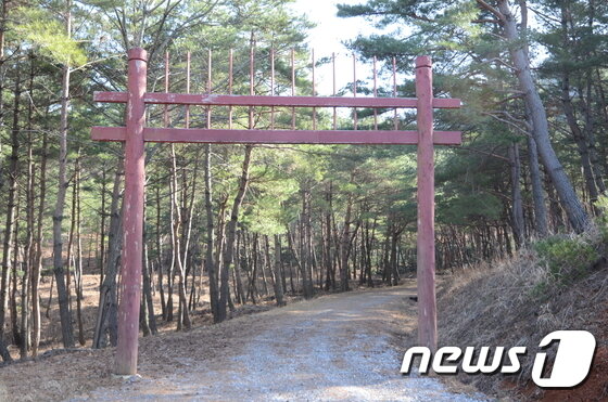 본문 이미지 - 충북 단양 소백산자락길 News1