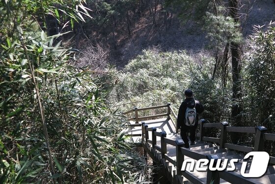 본문 이미지 - 경주 남산둘레길 ⓒ News1