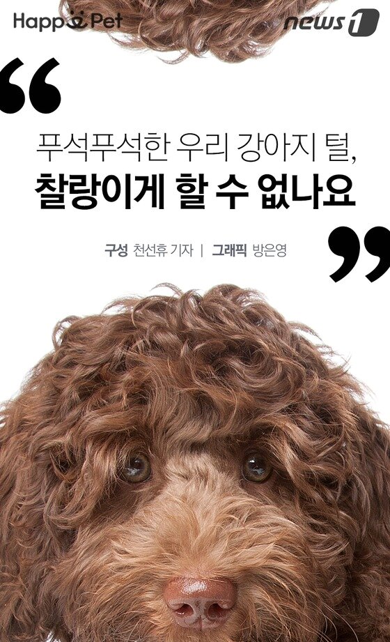 본문 이미지 -  