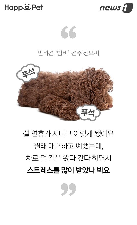 본문 이미지 -  