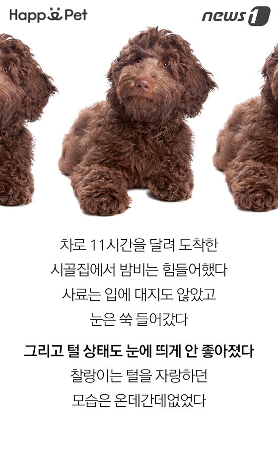 본문 이미지 -  