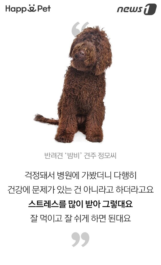 본문 이미지 -  