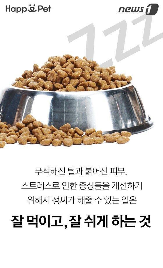 본문 이미지 -  