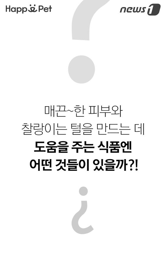 본문 이미지 -  
