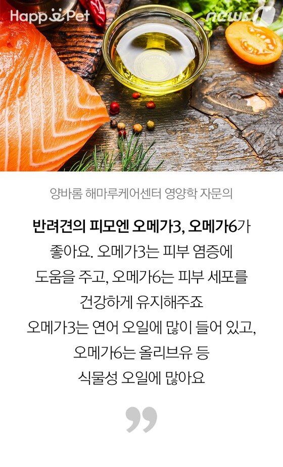 본문 이미지 -  