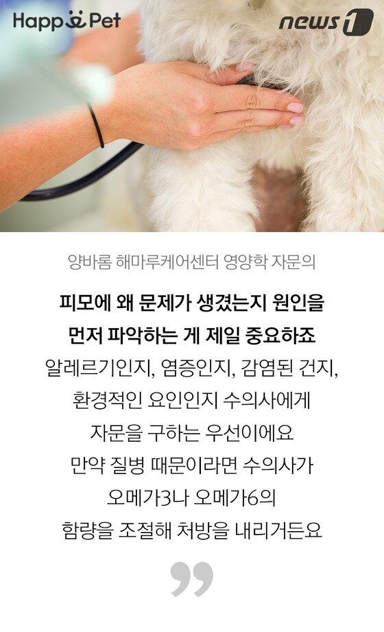 본문 이미지 -  