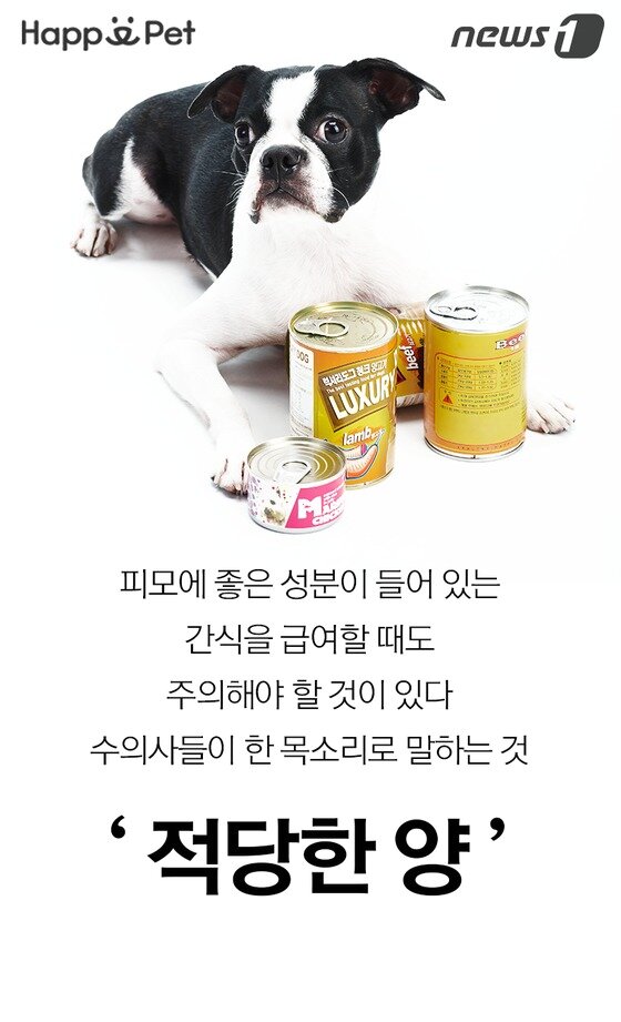 본문 이미지 -  