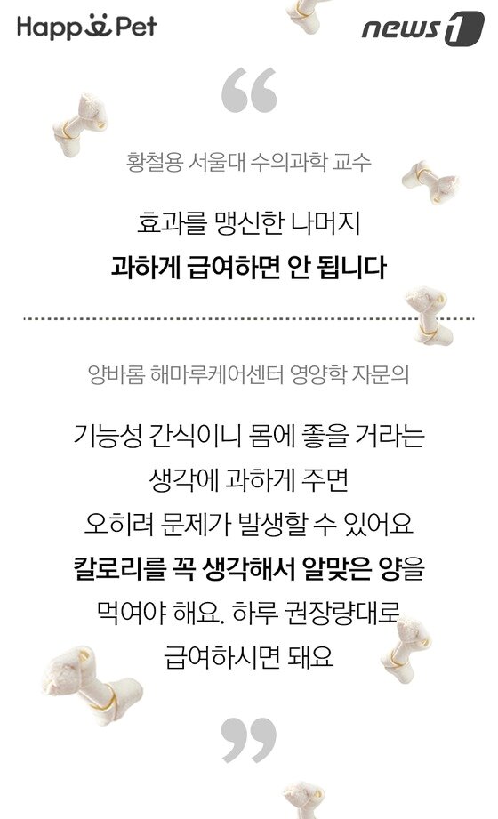 본문 이미지 -  