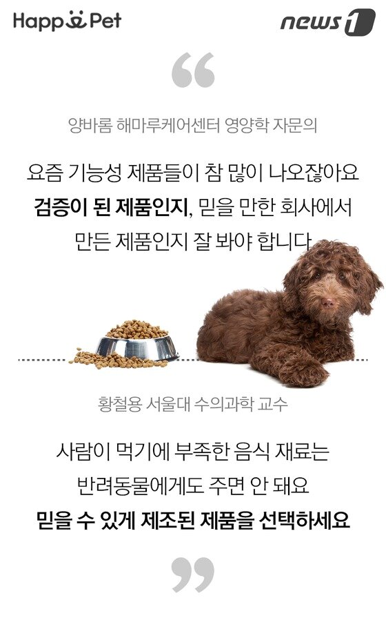 본문 이미지 -  