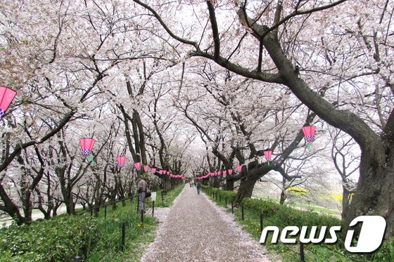 본문 이미지 - 사이타마 도립 곤겐도 공원<사진=도부철도>ⓒ News1