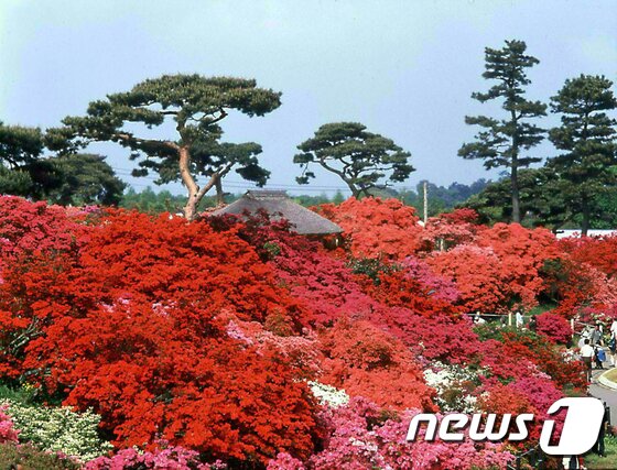 본문 이미지 - 츠츠지가오카 파크<사진=도부철도>ⓒ News1