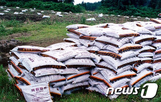 본문 이미지 - ⓒ News1