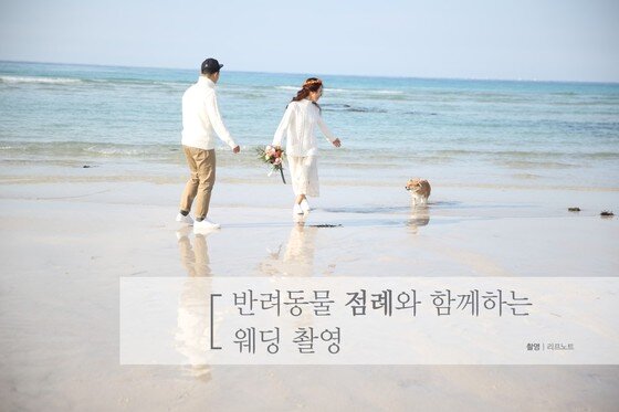 본문 이미지 -  ⓒ리프노트