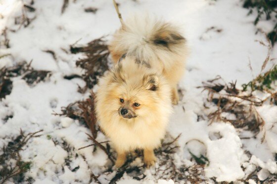 본문 이미지 - ⓒ리프노트