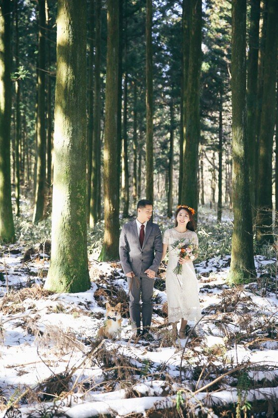 본문 이미지 -   ⓒ리프노트